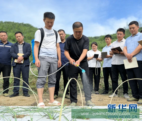 因达农携手教练团队，合作模式助力状态回升